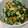 クックGKWEC3☆'s cooksnap of when they made 優しい甘みと香ばしさ！ほうれん草の白和え.