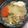 ひまわり６号's cooksnap of when they made 豚しゃぶ鍋.