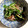 きゃらめる11's cooksnap of when they made 三つ葉香る…わかめときゅうりの酢の物.
