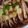 abumix's cooksnap of when they made ＊なんちゃってイカの箱船＊.