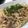 ルシリリ's cooksnap of when they made 豚肉の梅ゆかりパスタ.