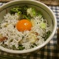 youtapapa's cooksnap of when they made ごま油と薬味香る釜揚げしらす丼.