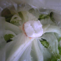 イノチサ's cooksnap of when they made これで長持ち♪レタスの保存方法.