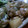 ぞうさん193's cooksnap of when they made 鶏と里芋と大根でてりっと煮物.