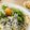クック7U914V☆'s cooksnap of when they made 低糖質ダイエット！米じゃない！超しらす丼.