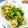 なおころピッコロ's cooksnap of when they made 豆苗とお揚げ炒め.