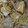リンゴぐま's cooksnap of when they made 厚揚げと豚バラともやしの味噌炒め.