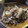 ポメちょん's cooksnap of when they made 大根と牛肉とえのきの煮物.