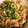 mcapちゅん's cooksnap of when they made 簡単！とろふわ＆うまうま☆なめこ丼.