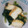 ゆず☆彡 's cooksnap of when they made 白だしで簡単！厚揚げと小松菜の炒め煮.