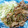 Кαriй's cooksnap of when they made 豚のマヨネーズ焼き.