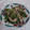 イチゴ、イチゴ。's cooksnap of when they made 水菜と豚のちょい塩炒め.