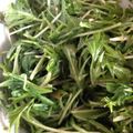 カマタロウ's cooksnap of when they made 水菜のごまみそ和え.