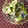 ふたごゆき's cooksnap of when they made アボカドと海苔のゆず胡麻あえ.