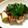 クックBH5M9F☆'s cooksnap of when they made 簡単 ‼ ねぎ焼き～あったらベーコンも✌.