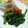 なつあつママ's cooksnap of when they made ほうれん草のごま風味.