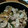 jagao's cooksnap of when they made 簡単！つゆだく豚丼＊長ネギで.