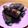 ellie21's cooksnap of when they made 巻いて焼くだけ豚ロース大葉巻き.