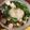 FUNデミオ's cooksnap of when they made 鍋簡単 ♪ニラ、なめこ、豆腐でみぞれ鍋♪.