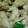 ..yuka..'s cooksnap of when they made 手羽中のから揚げ.