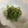 ngta05's cooksnap of when they made 3分で完成！節約★豆苗とツナの中華和え★.