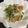 ngta05's cooksnap of when they made ごま風味！豆苗の炒め物.