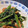 チョビ～☆'s cooksnap of when they made 大根菜～厚揚げっと！！.