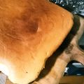 お嬢＠'s cooksnap of when they made 簡単なのにシフォン風☆*スポンジケーキ.