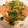 ＊にょにょん＊'s cooksnap of when they made 鮭の蒸し焼き 玉ねぎソース.