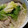 クックRN47P8☆'s cooksnap of when they made ネギとモヤシの豚しゃぶ鍋.