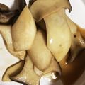 おねんどお母さん's cooksnap of when they made えりんぎバタぽん♡.