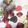 クックVI8AU7☆'s cooksnap of when they made 簡単アイスボックスクッキー.