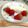 ３匹の大ぶたママ's cooksnap of when they made 濃厚パンナコッタ.