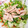 ねぞろ's cooksnap of when they made レンジで簡単　白菜とソーセージの煮びたし.