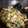brenandyu's cooksnap of when they made 豚肉と白菜の炒め煮＿味噌あじ版.