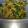 kiririko's cooksnap of when they made 豆苗と切り干し大根のツナ和え.