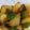 puuu12's cooksnap of when they made カラフル野菜のバターしょうゆ炒め.