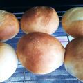 rocky6969's cooksnap of when they made 捏ねない簡単湯だねパン.