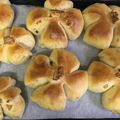 ちいじゃこ。's cooksnap of when they made サクふわ☆豆乳くるみパン.