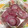 クーモモ's cooksnap of when they made 鮮やかな赤！赤大根の超簡単甘酢漬けだよ！.