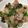 はのるん's cooksnap of when they made チンゲン菜とベーコンの蒸し炒め.