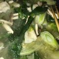 raichuuu's cooksnap of when they made 豚肉とレタスとネギの サッと煮.