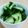 ねここfm's cooksnap of when they made 居酒屋風 無限！やみつききゅうり.