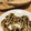 永遠の新妻's cooksnap of when they made 人参と玉ねぎのお焼き.
