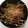 クックC2GECR☆'s cooksnap of when they made 定番のきんぴらごぼう.