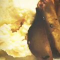 Sママ♪♪'s cooksnap of when they made 安納芋アイスクリーム.