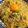 yo__kun's cooksnap of when they made ワンポットパスタ ですき焼きパスタ.