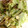 クックC9ZFTA☆'s cooksnap of when they made キャベツと小エビのさっと炒め.