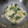 たなか家's cooksnap of when they made 大葉が香る☆数の子のマヨ和え.