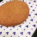クックI1M2EU☆'s cooksnap of when they made 低糖質＊おからのｶﾞﾄｰｼｮｺﾗ風.